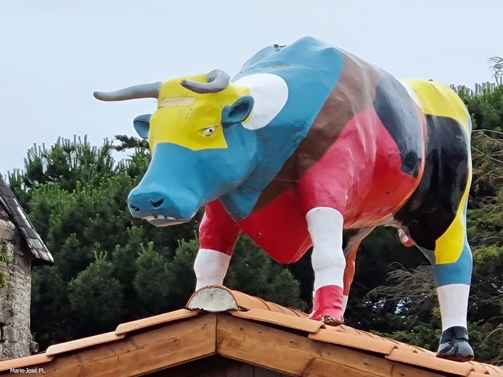 Vache sur toit2