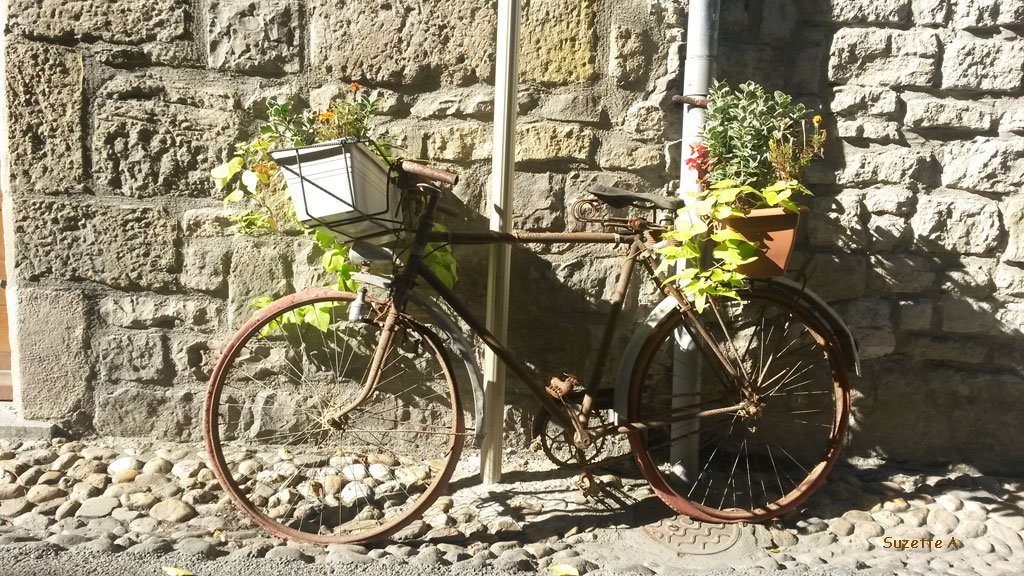 Vélo-jardinière