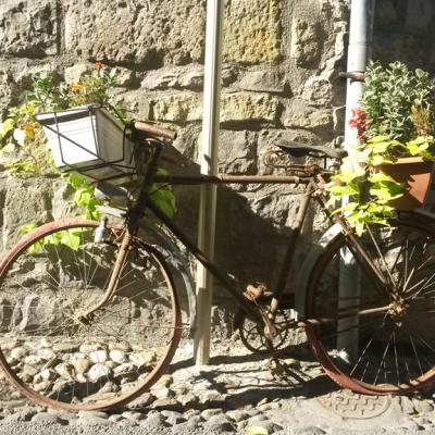 Vélo-jardinière