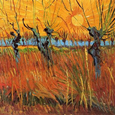 Vincent van gogh