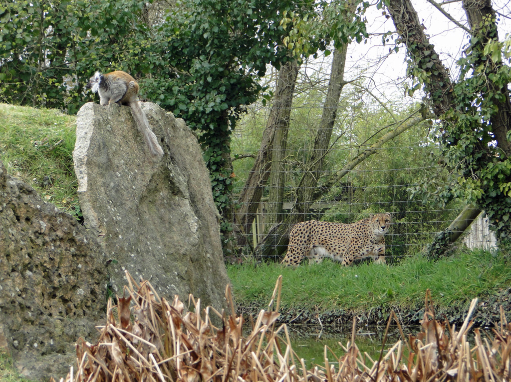 Voisins à Beauval