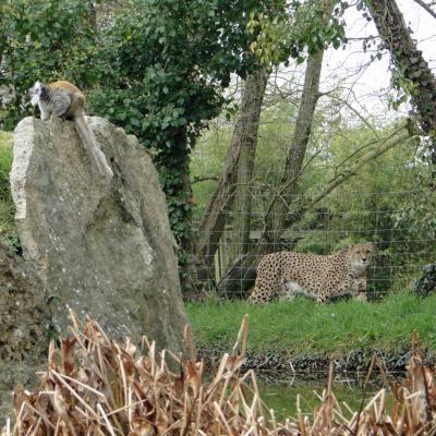 Voisins à Beauval