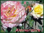 Anniversaire roses javerdat2