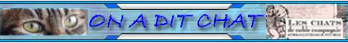 ON A DIT CHAT !