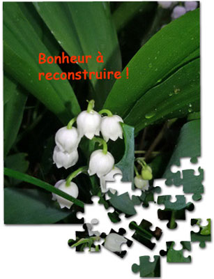 Bonheur en puzzle 1