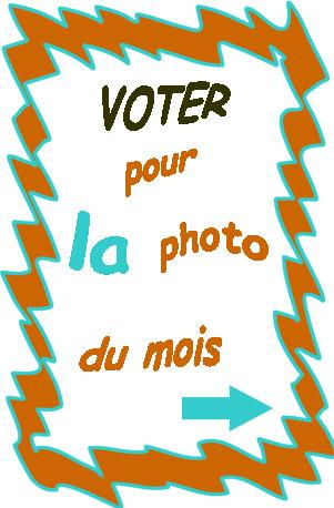 Masquevoter