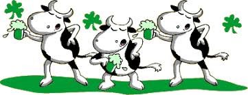 Vaches au vert